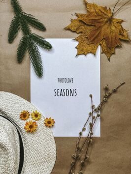 Набор пресетов Seasons