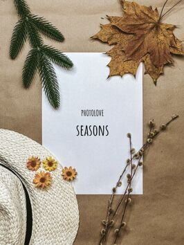 Набор пресетов Seasons